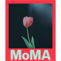 Polaroid i-Type Color MoMa Edition