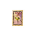 Blue Angel Celtic Tree Oracle Cards