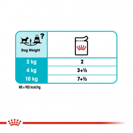Wet Dog Food - Royal Canin CCN Urinary Care Loaf 12x85g