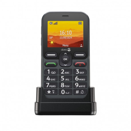 Doro Leva L10 grafiit