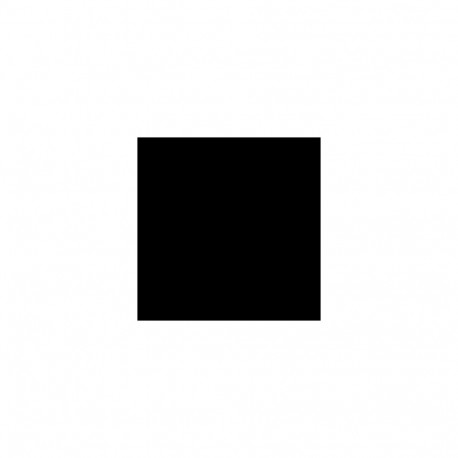 Camelion Plus Alkaline AAAA 1.5V (LR61), 2-pack (for toys, remote control and similar devices)