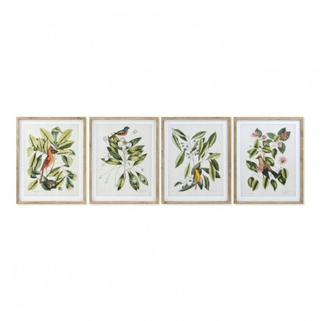 Maal DKD Home Decor Bird 55 x 2,5 x 70 cm Troopiline Linnud (4 Tükid, osad)