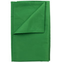 Genesis background Chromakey 180x280cm, green