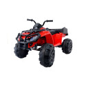Quad BDM 0909 punane 24V akuga