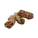 Guinea Pig Food - Versele Laga Complete Cavia 8kg Soy Free