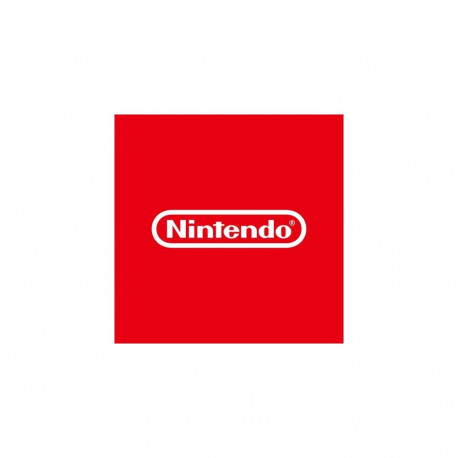 Nintendo NSW-0113 video game Standard English Nintendo Switch