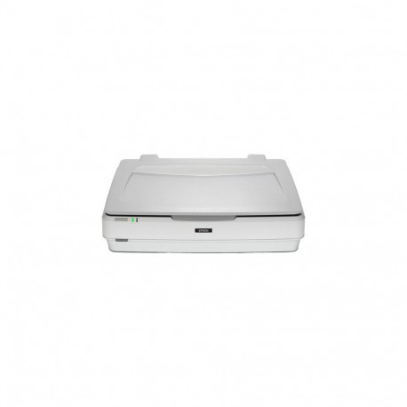 Epson Expression 13000XL Flatbed scanner 2400 x 4800 DPI A3 White