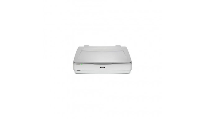 Epson Expression 13000XL Flatbed scanner 2400 x 4800 DPI A3 White