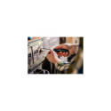 HAZET 802/5 manual screwdriver Set Straight screwdriver