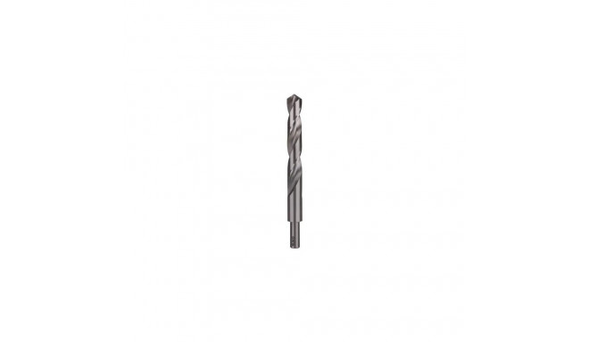 RUKO 2004120 drill bit Twist drill bit 1 pc(s)