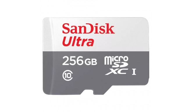 "CARD 256GB ULTRA LITE WHITE/GRAY"