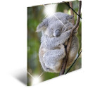 "HERMA Sammelmappe A4 Glossy Koala Polypropylen"