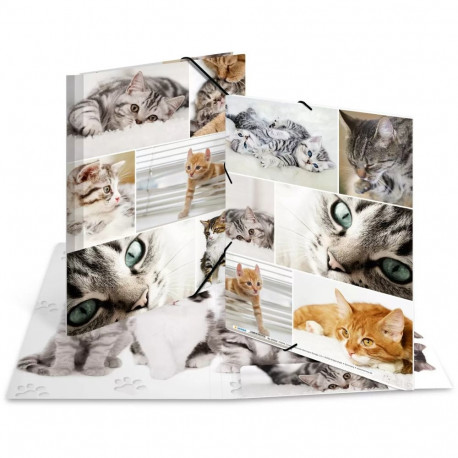 "HERMA Sammelmappe A4 Katzen Pappe"