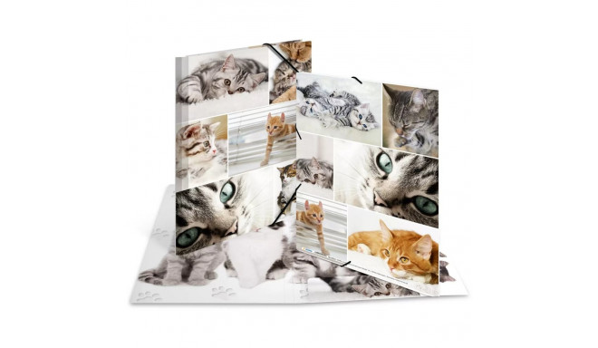 "HERMA Sammelmappe A4 Katzen Pappe"