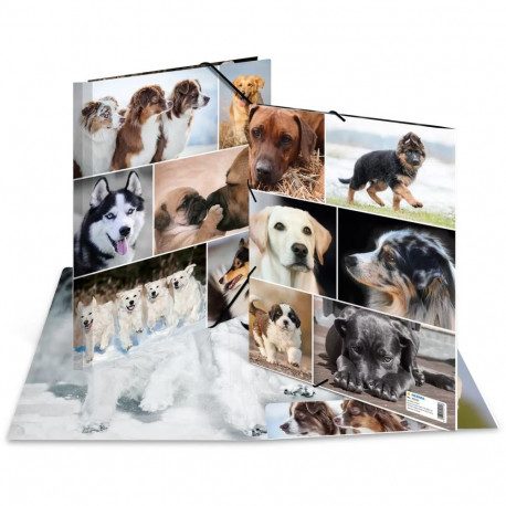 "HERMA Sammelmappe A4 Hunde Pappe"
