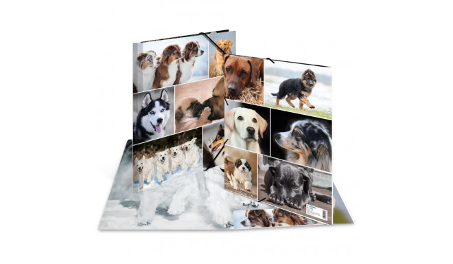 "HERMA Sammelmappe A4 Hunde Pappe"