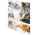 "HERMA Sammelmappe A4 Katzen Pappe"