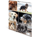 "HERMA Sammelmappe A4 Hunde Pappe"