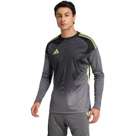 adidas meeste väravavahi särk Tiro 25 Competition pikkade varrukatega LM JN2017 2XL, hall