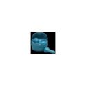Headphones JBL Tune FLex 2 Teal