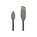 CABLE USB2 C-A 3 m antratsiithall 36888 LINDY