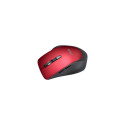 Asus | WT425 | Mouse | wireless | Red