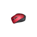 Asus | WT425 | Mouse | wireless | Red
