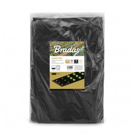 Mulch film with holes, 1m x 50m, 15 mic.