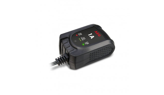 Regenerating Rectifier with Microprocessor AEG 1.0 12V, 1A