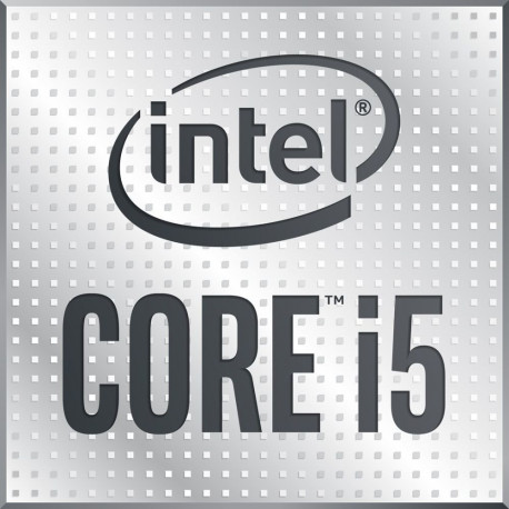 Intel Core i5-10400F protsessor 2.9 GHz 12 MB Smart Cache karp