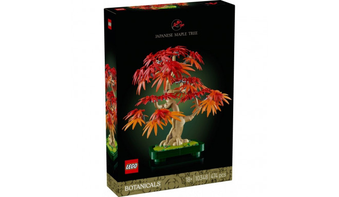 Klocki Botanicals 10348 Klon palmowy bonsai