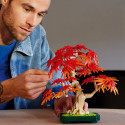 Klocki botanicals 10348 jaapani vaher bonsai