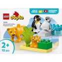 Duplo 10442 metsloomade pered: pingviinid ja lõvid