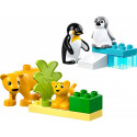 Duplo 10442 metsloomade pered: pingviinid ja lõvid
