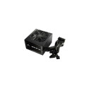 FSP HEXA 85+ PRO 450W power supply unit 24-pin ATX ATX Black