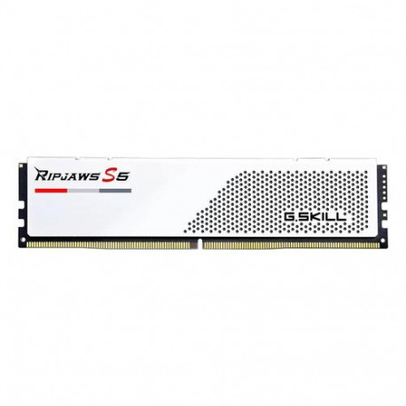 G.Skill F5-6000J3036F24GX2-RS5W memory module 48 GB 2 x 24 GB DDR5 5600 MT/s 288-pin DIMM