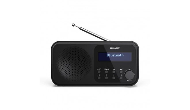 Sharp DR-P420(BK) Tokyo Portable Digital Radio