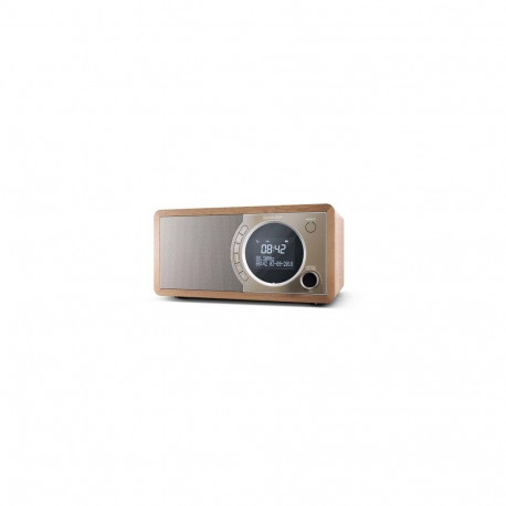 Sharp DR-450 Personal Digital Brown, Stainless steel