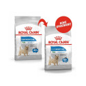 Dog Food - Royal Canin Ccn Mini