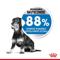 Dog Food - Royal Canin Ccn Mini