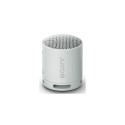Sony SRS-XB100 - Wireless Bluetooth Portable Speaker, Durable IP67 Waterproof &amp; Dustproof, 1