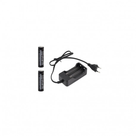 LC5 charger set with 2 batteries 18650 6000mAh.