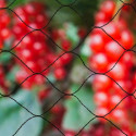Anti-bird netting Nature Primo Must Polüetüleen 10 x 10 m