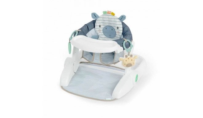 Activity centre Ingenuity Casi the Zebra