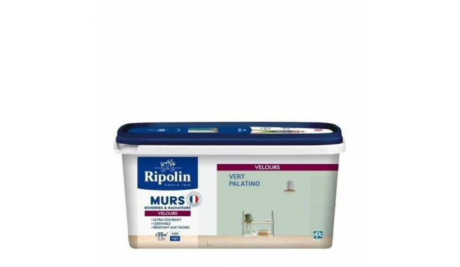 Primer Paint Ripolin Vert 2,5 L Matt