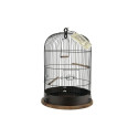 Bird Cage - Zolux Retro Lisette