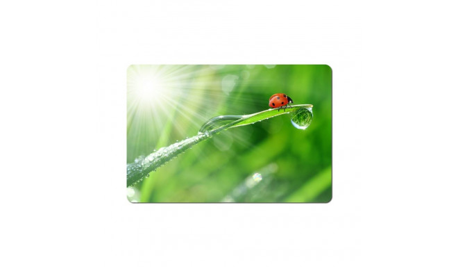 Mouse Pad - Esperanza Ea133 Multicolor