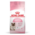 Dry Cat Food - Royal Canin Mother And Kitten 34 0.4 Kg