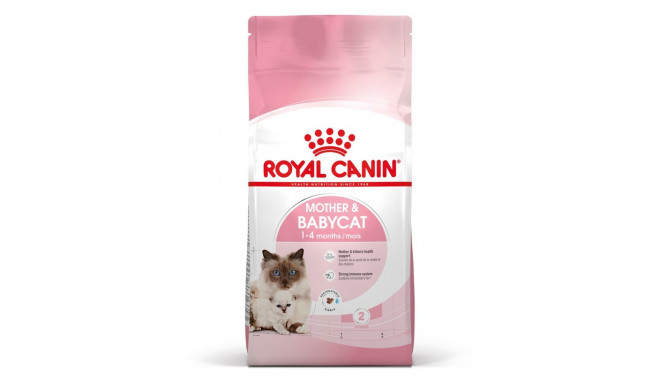 Dry Cat Food - Royal Canin Mother And Kitten 34 0.4 Kg