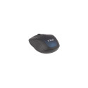 Inca IWM-201RL mouse Office RF Wireless Optical